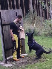 Zylo vom Haus Lohe Zylo vom Haus Lohe