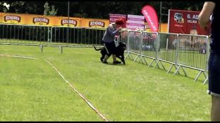 Jackie von der Maxi Rott Jackie von der Maxi Rott