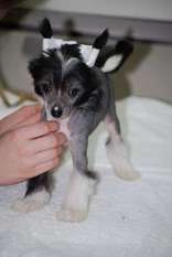 Zoelle Winnie Zoelle Winnie