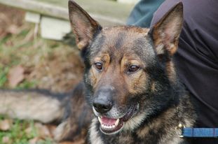 Hank aus der Zigeunerkuhle Hank aus der Zigeunerkuhle