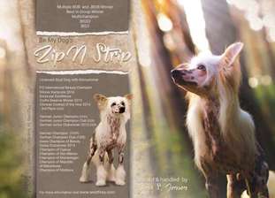Be My Dog's Zip N Strip Be My Dog's Zip N Strip