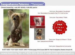 Sasquehanna Palermo Sasquehanna Palermo