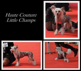 Haute Couture Little Champs Haute Couture Little Champs