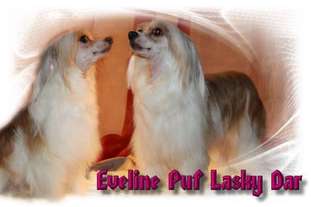 Eveline Puf Lasky Dar Eveline Puf Lasky Dar