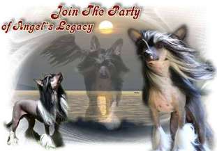 Join The Party Of Angel's Legacy Join The Party Of Angel's Legacy