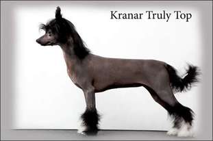 Kranar Truly Top Kranar Truly Top