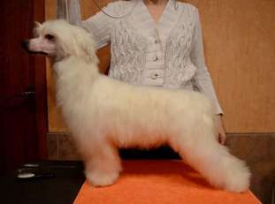 Etno Spirit Valensia Etno Spirit Valensia