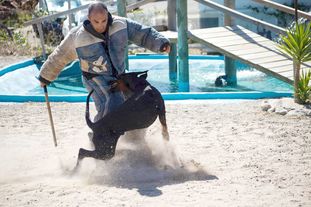 Dei Gloria Doberville Braveheart Dei Gloria Doberville Braveheart