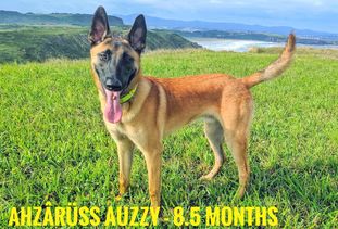 Ahzârüss Auzzy Ahzârüss Auzzy