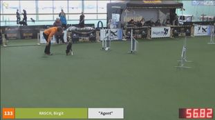 Smart Working Agent Smart Working Agent
