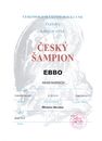 Ebbo190424CZCH.jpg