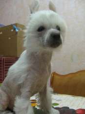 Yulii Cesar Yulii Cesar