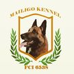 Marko Milinkovic MAILIGO KENNEL