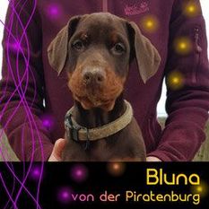 Bluna von der Piratenburg Bluna von der Piratenburg