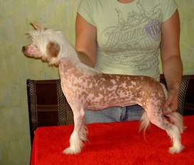 Vivien Vivien