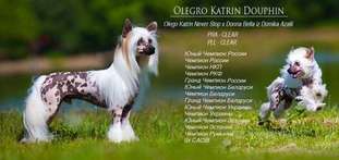 Olegro Katrin Douphin Olegro Katrin Douphin