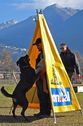 Andrea Bianchi Andrea Bianchi