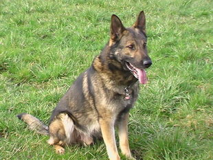 Frodo von der Alten Donau Frodo von der Alten Donau