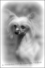 S.r Embrass Moi Du Coeur Des Tenebres S.r Embrass Moi Du Coeur Des Tenebres