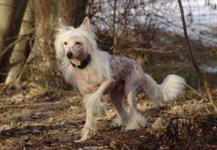 Funnybaby Milko Funnybaby Milko