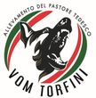 Massimiliano Torfini