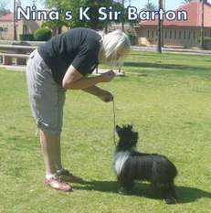 Nina's K Sir Barton Nina's K Sir Barton
