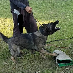 Keres z Lomeckeho polesi Keres z Lomeckeho polesi