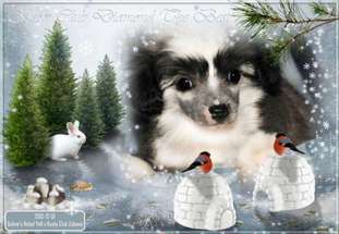 Ksolo Club Diamond The Best Ksolo Club Diamond The Best