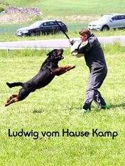 Ludwig vom Hause Kamp Ludwig vom Hause Kamp