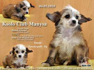 Ksolo Club Manysa Ksolo Club Manysa