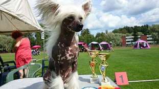 Bambina Winning Smile Bambina Winning Smile