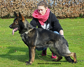 Stacie vom Lusenpark