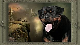 Bogart von den Nibelungen Bogart von den Nibelungen