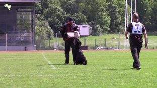 Zirabanden Il Capo Zirabanden Il Capo