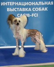 Veselinka Yablochny Kapriz Veselinka Yablochny Kapriz