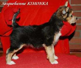 Sasquehanna Kimonka Sasquehanna Kimonka