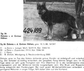 Dsheta von den Gnitzer Höhen Dsheta von den Gnitzer Höhen