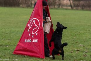 Lux van het Puntshofke Lux van het Puntshofke