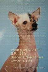 Vellar Pljus Agatell Vellar Pljus Agatell