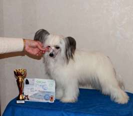 Gabriella Zari Rous Gabriella Zari Rous