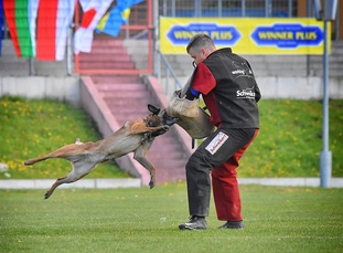 Laika van het Retrohof Laika van het Retrohof