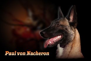 Paul von Nacheron Paul von Nacheron