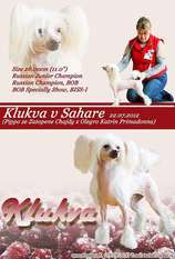 Klukva V Sahare Klukva V Sahare