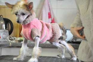 Style&toy Amelina Style&toy Amelina