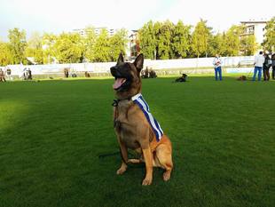 Batman Veranis K-9 Dog Center Batman Veranis K-9 Dog Center