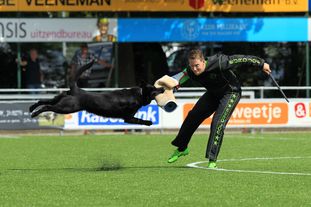 Leon van de Clattenburg Leon van de Clattenburg