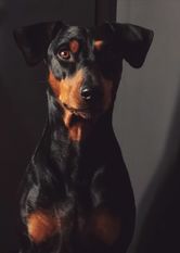 Legendorf Jean-Theodore James Legendorf Jean-Theodore James