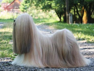 Khalila Krug Grande Khalila Krug Grande