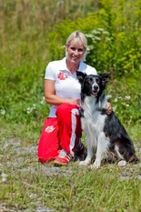 Hank Heartbreaker topdog of Beechgrove Hank Heartbreaker topdog of Beechgrove