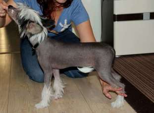 Algol Sprawdz W Slowniku Algol Sprawdz W Slowniku
